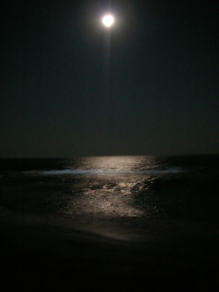 Альбина Зенина | Новокузнецк