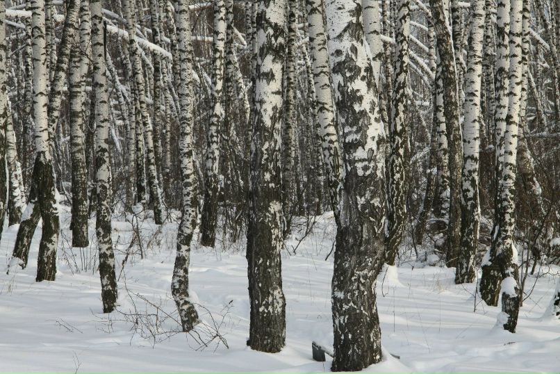 Маша Полиновская | Москва