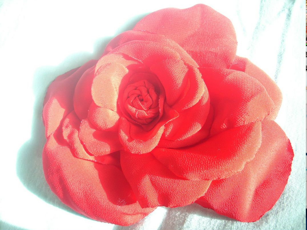 Лариса Котенева | 