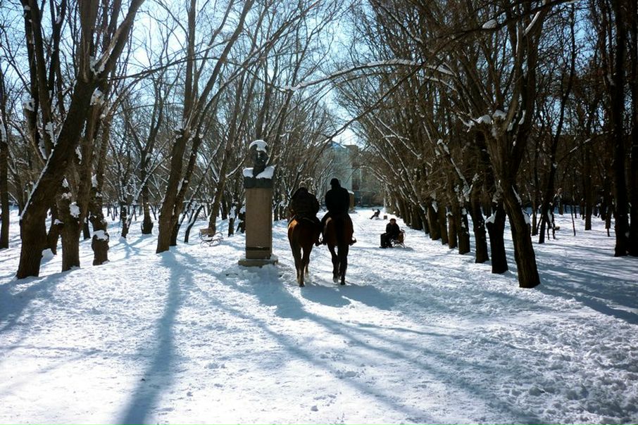 №81, Александр Курлян №81, Александр Курлян