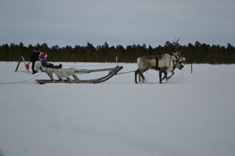 Лена Канева | Краснощелье