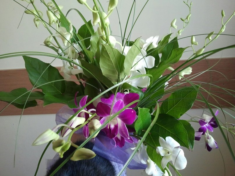 Екатерина Орлова | Москва