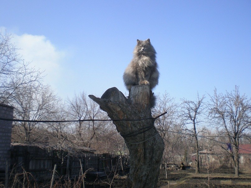 Оля Иваненко | Киев