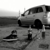 Аватар: Aidar Honda