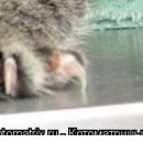 №92, Юленька Лапочка, 41 год, Санкт-Петербург №92, Юленька Лапочка, 41 год, Санкт-Петербург