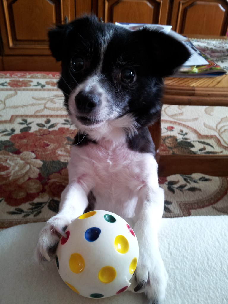 Наталия Георгиади | 