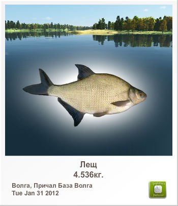 Сергей Шихов | 