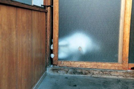 Евгений Федюшин | 