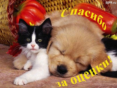 Никита Михайлов | Екатеринбург