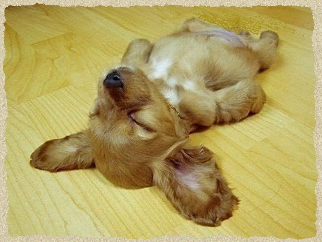 Ирина Голубева | Санкт-Петербург