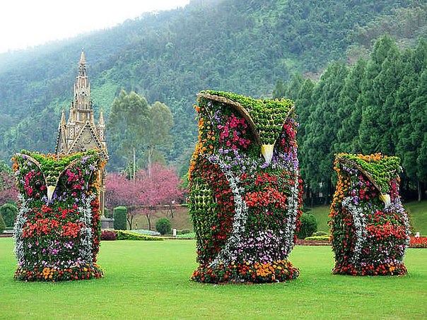 №1, Антон Завірюха, Буки №1, Антон Завірюха, Буки