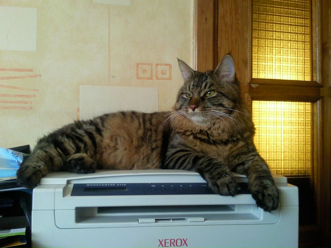 Таня Балакирева | Киев