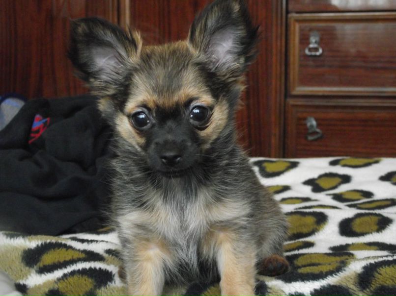 Елена Вишнякова | Санкт-Петербург