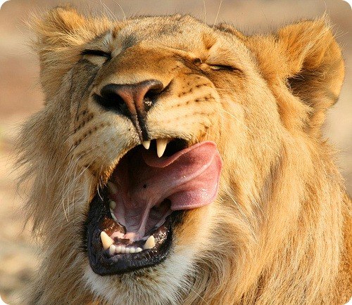 Дима Яковенко | Харьков