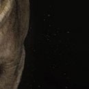 №5, Олег Макогін, 37 лет, Москва №5, Олег Макогін, 37 лет, Москва