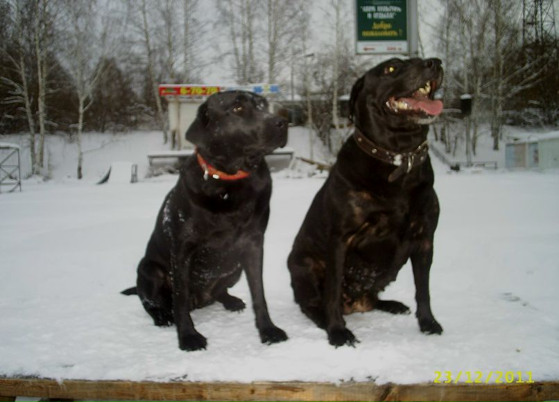 Наталья Медведева ♥ | Чайковский