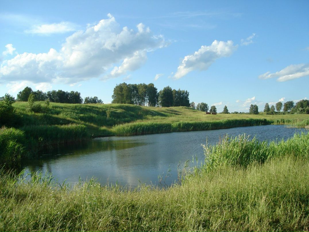 Таня Харкевич | Cambridge