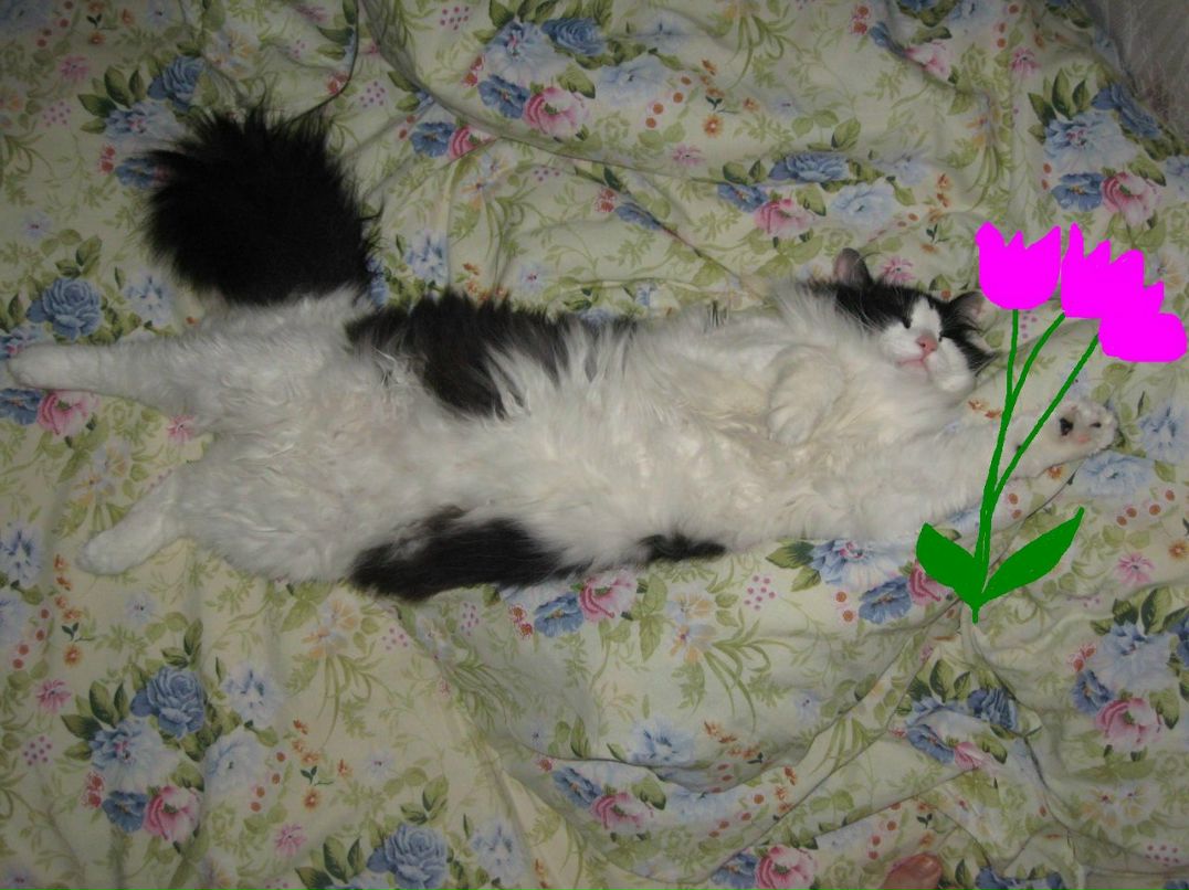 Ирина Кравченко | Москва