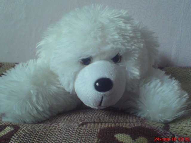 Надежда Кириллова | Невьянск