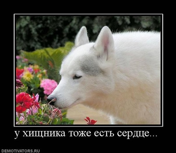 Наталья Артёменко *_koricka_* | Киев