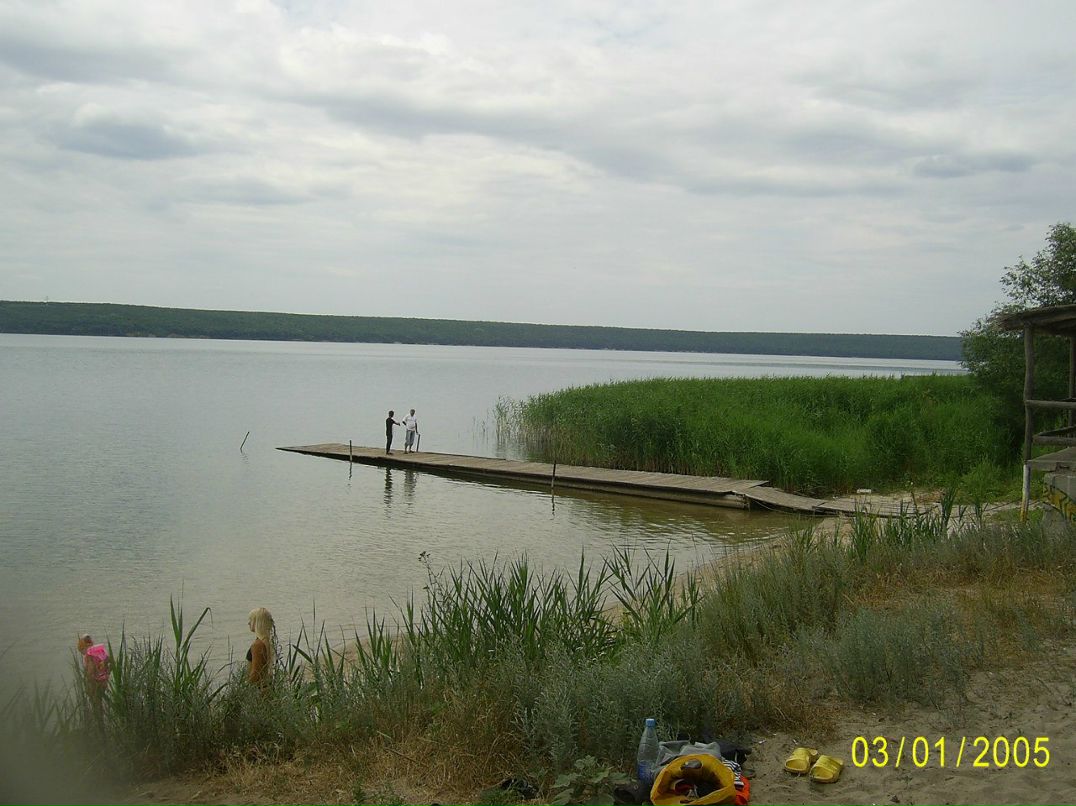 Сергей Сотрихин serg05 | Харьков