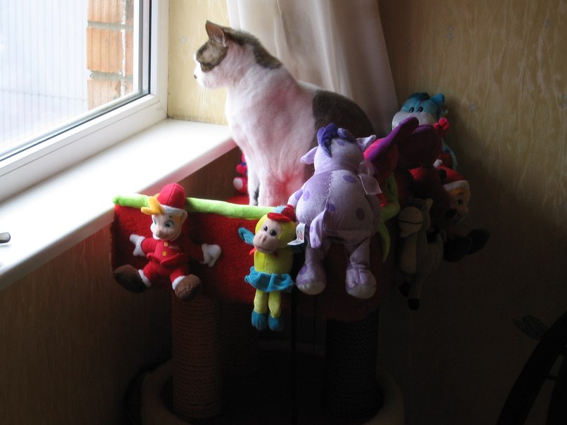 Татьяна Малева | Таллин