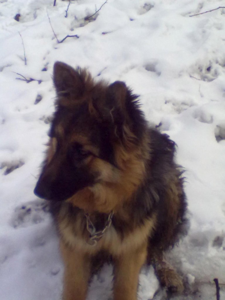 Дмитрий Горшенин | Харьков