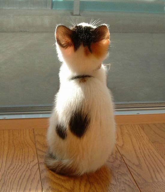 Наталья Золотар (Смирнова) | Кривой Рог