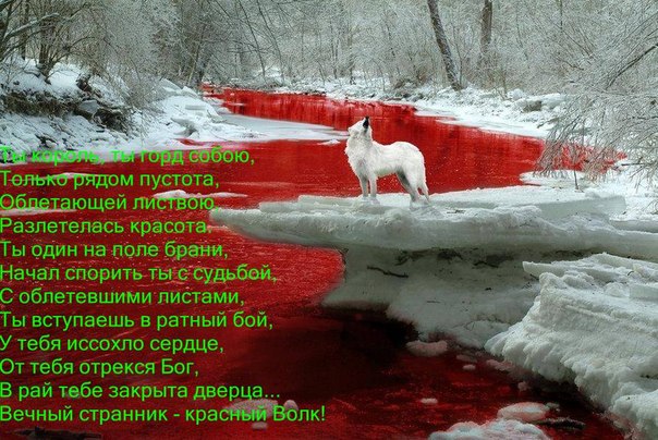 №10, Сергей Кузнецов №10, Сергей Кузнецов