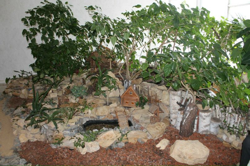 Сергей Елизаров | Брянск