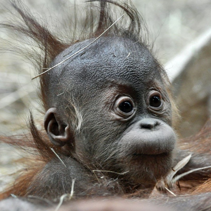 Сергей Иванов | Санкт-Петербург