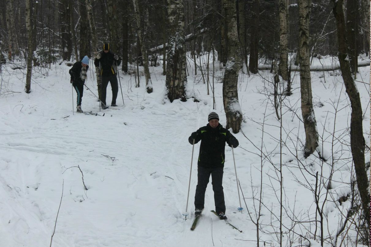 Елена Токарь | 