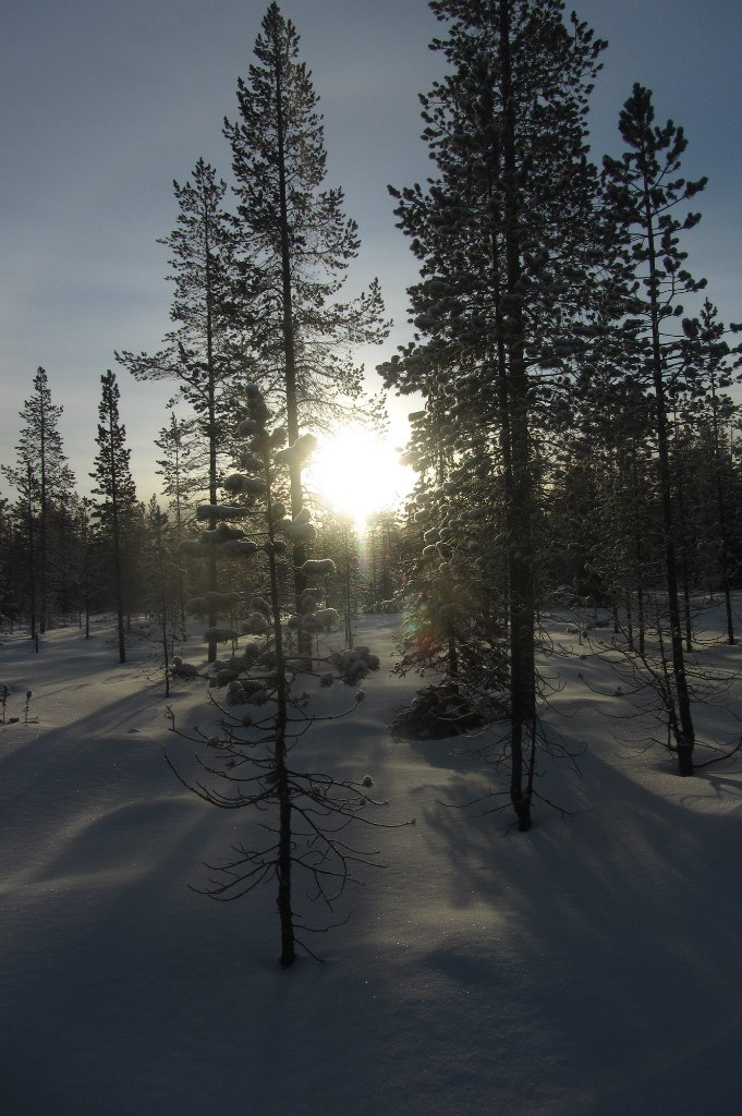 Арсений Петрик | Харьков