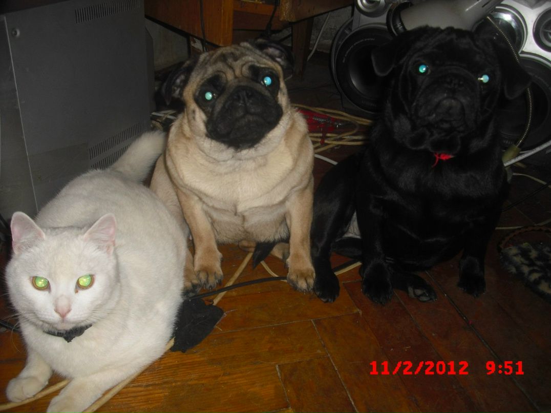 Анна Меркулова Александровна | Харьков