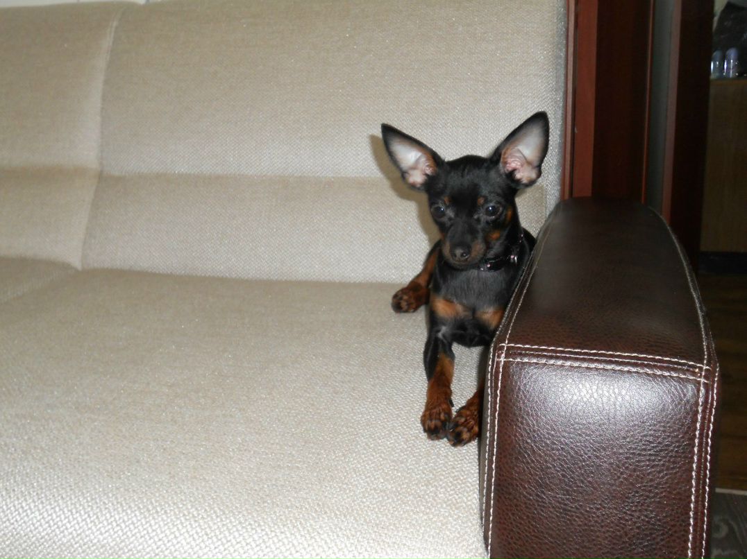 Margo Tixonova | Псков