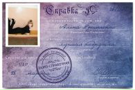 №21 Анжелика Терихова 14.02.1994: профиль, фото, статус - ВКонтакте
