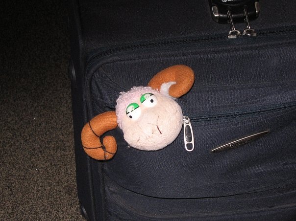 №8, Ольга Трифоненко, Псков №8, Ольга Трифоненко, Псков