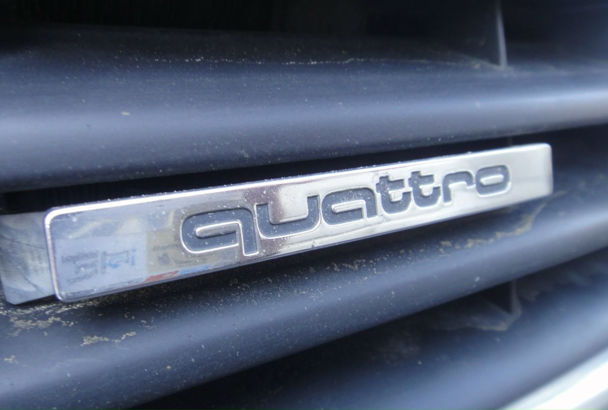 Федор Федералов | Санкт-Петербург