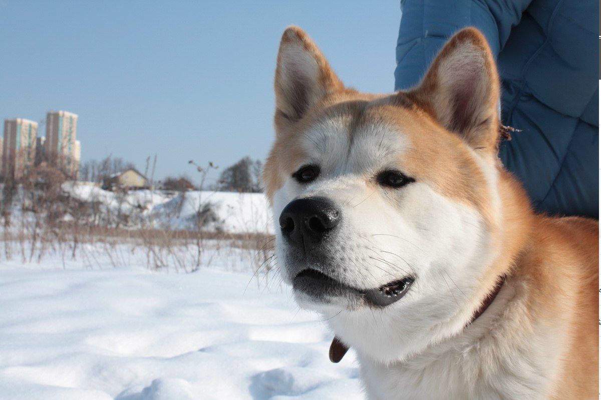Анастасия Звонарёва | Москва