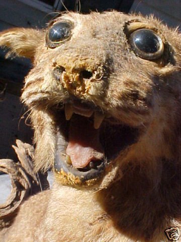 Ольга Верова | Москва