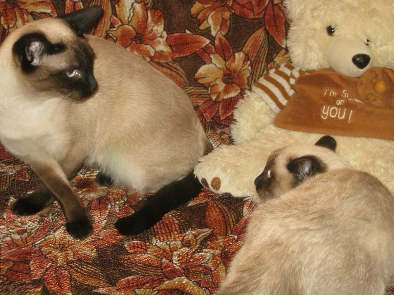 Марина Маркова | Санкт-Петербург