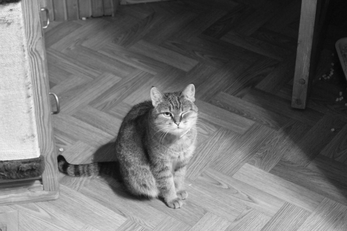 Илья Шуклинов | Раменское