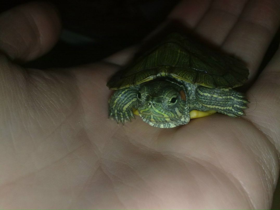 Леша Чубиков SooRok | Могилёв