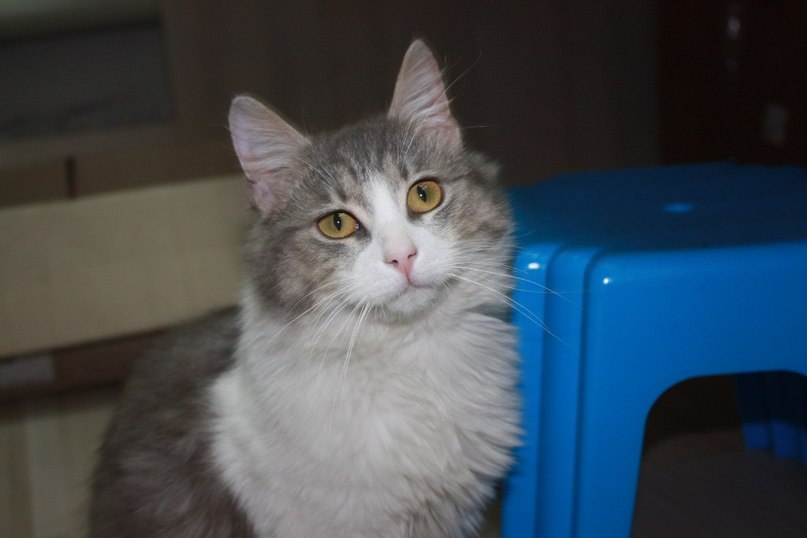 Игорь Мошура | Киев