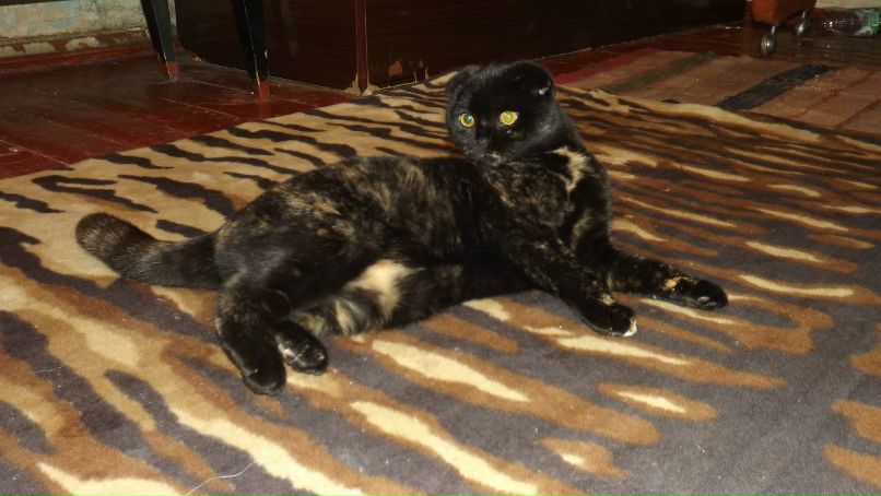 Вася Сазонов Серегович | 