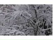 Дмитрий Князев | Березово