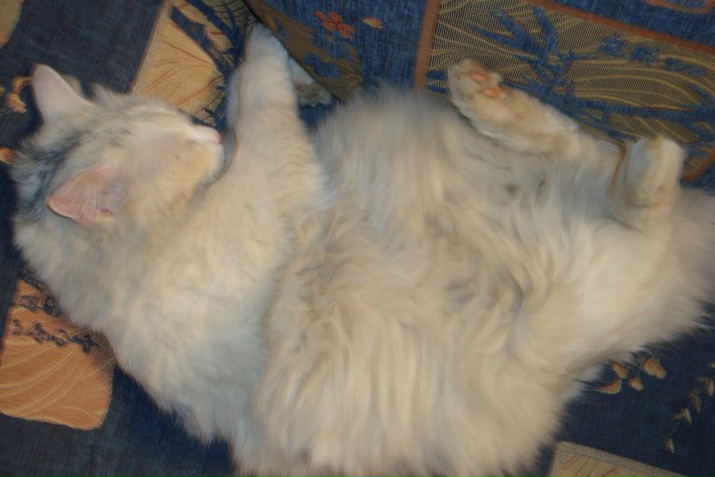 Мария Селиванова *