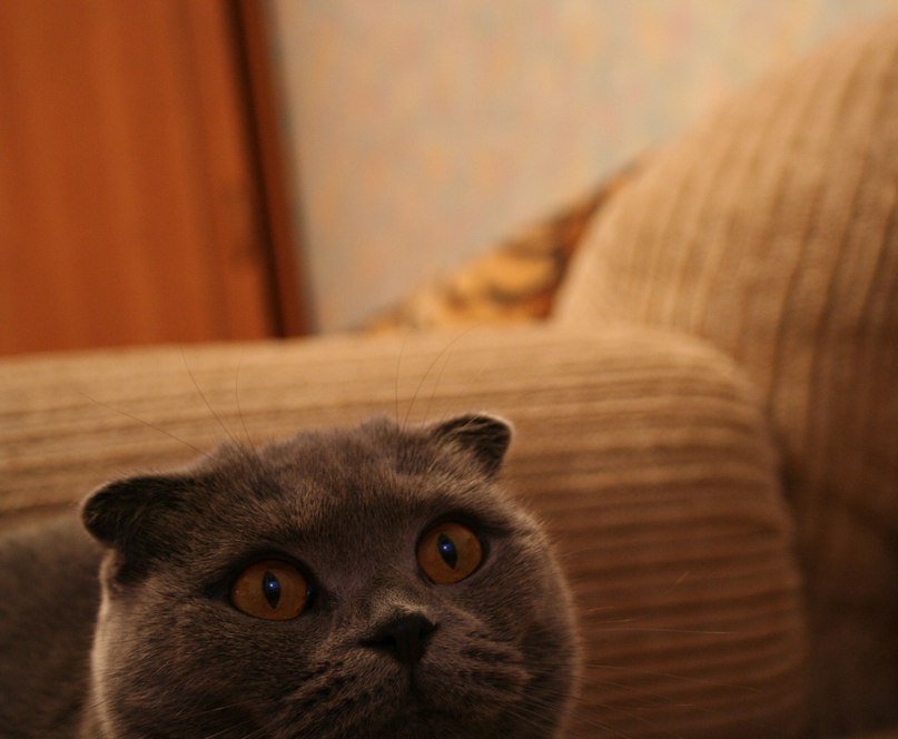 Илья Залогин | Пермь