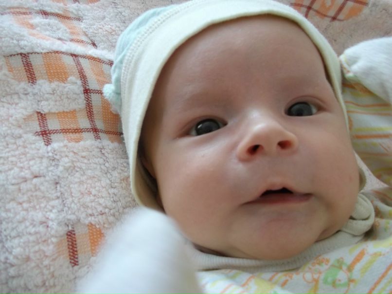 Олег Пукас | Донецк