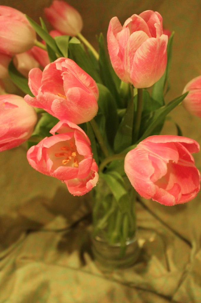 Марина Курбатова | Санкт-Петербург